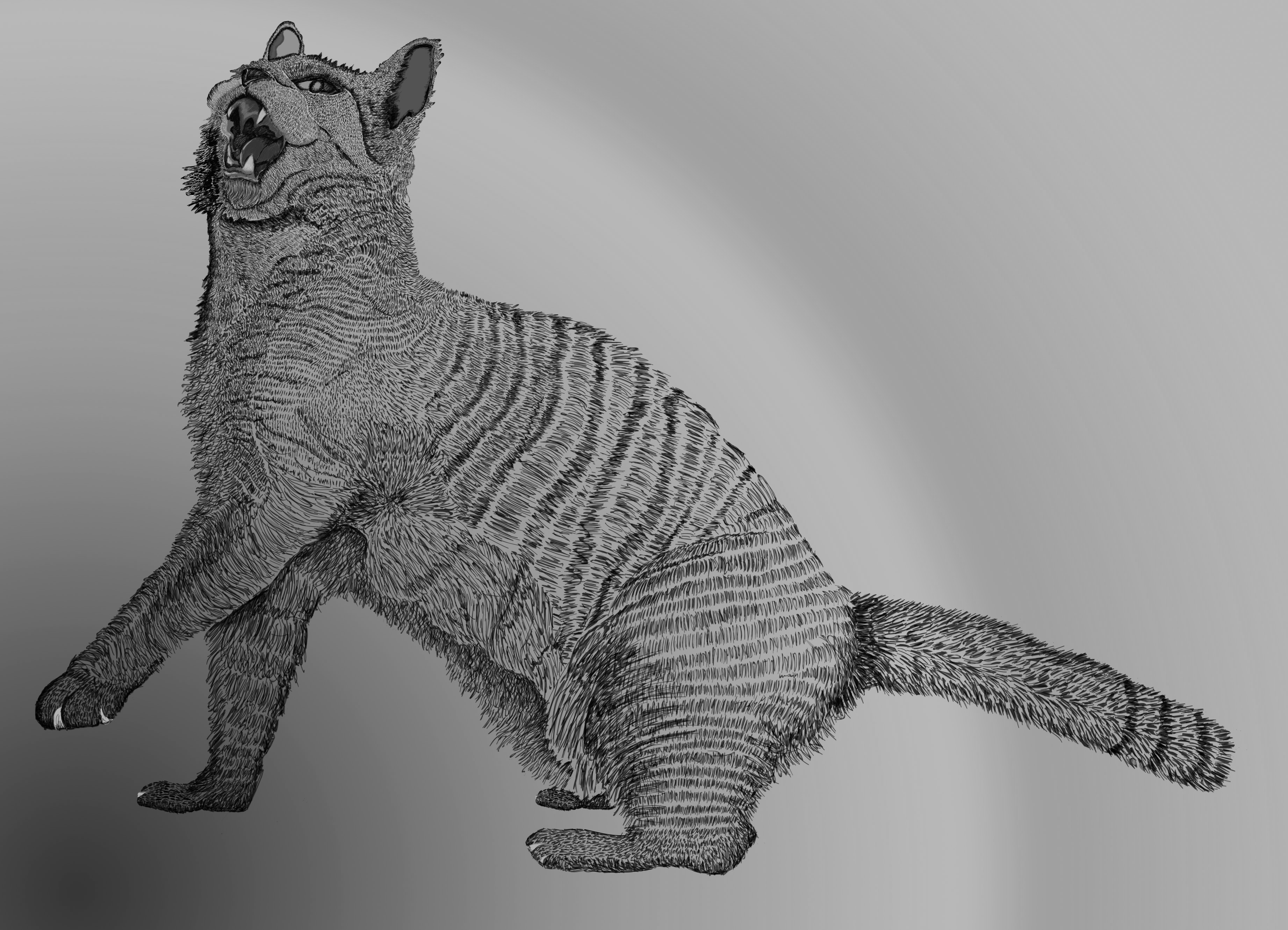 Feline — artwork 6