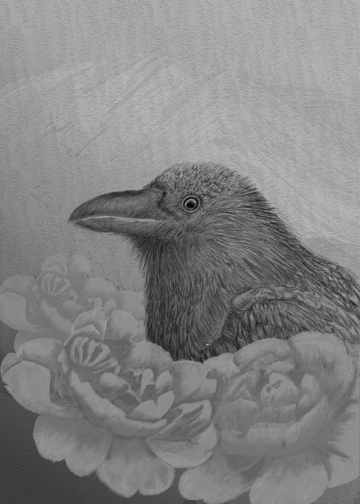 Avian — artwork 3