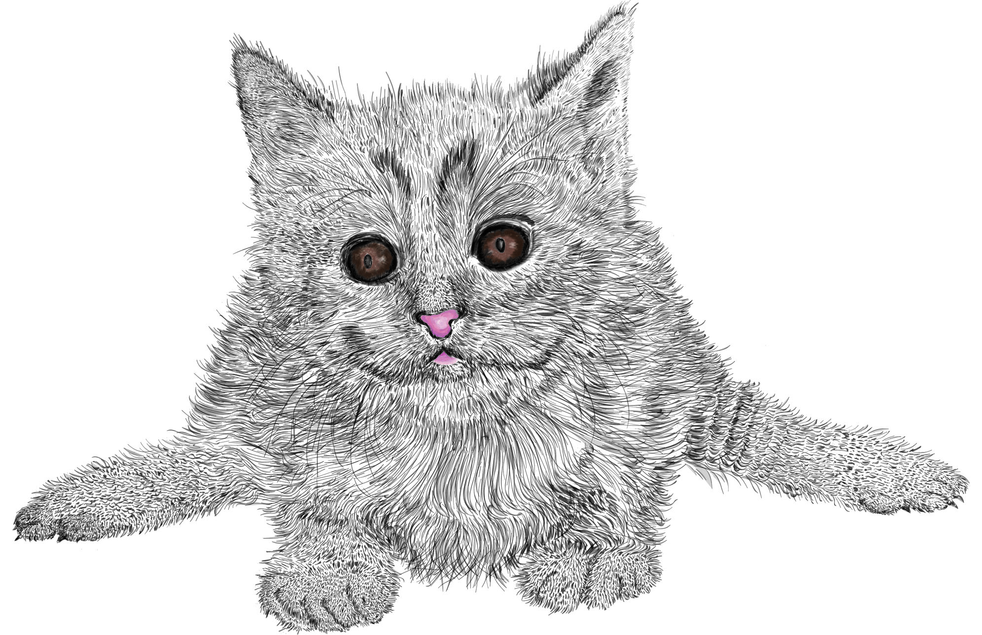 Feline — artwork 10