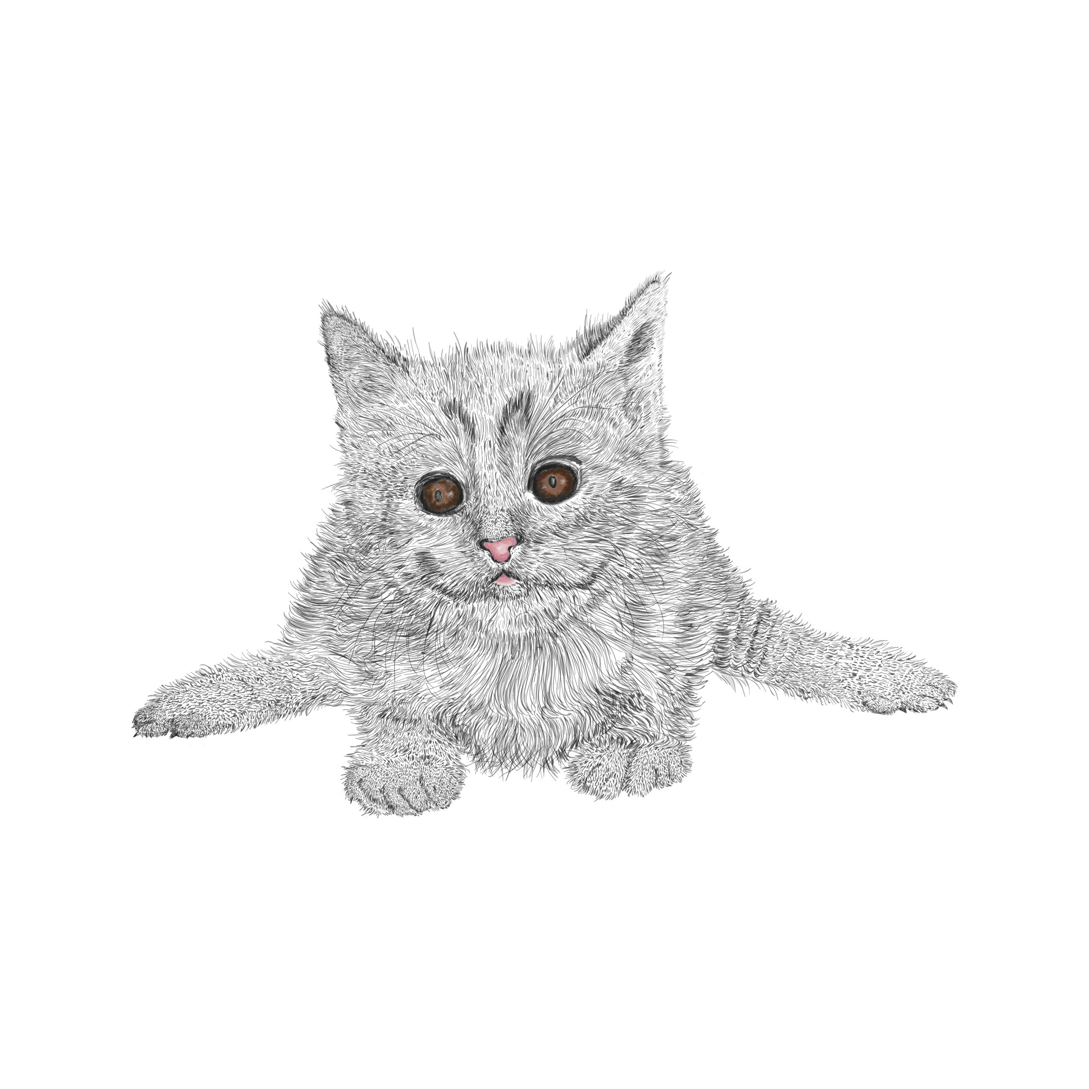 Feline — artwork 8
