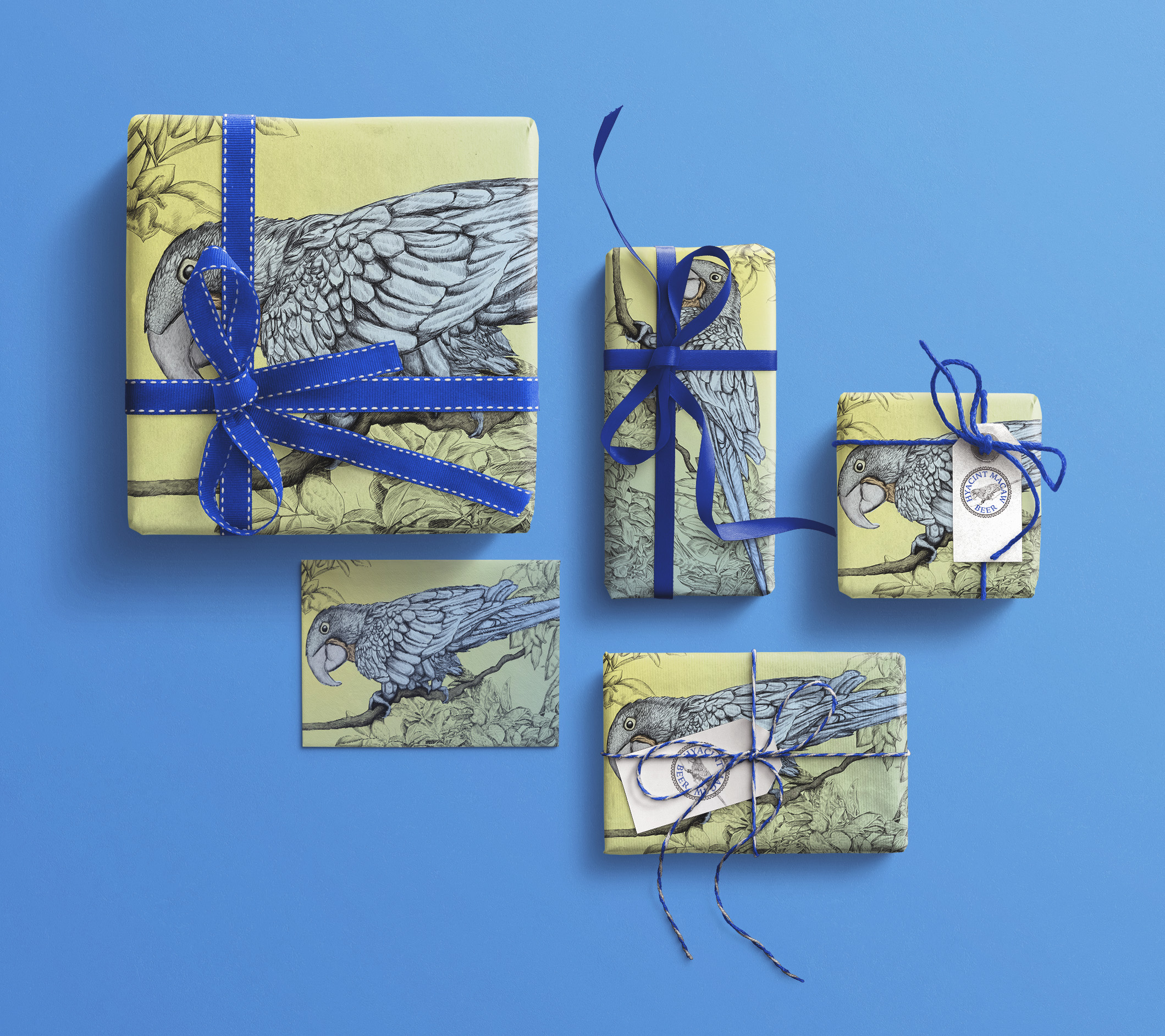Hyacinth Macaw — artwork 11