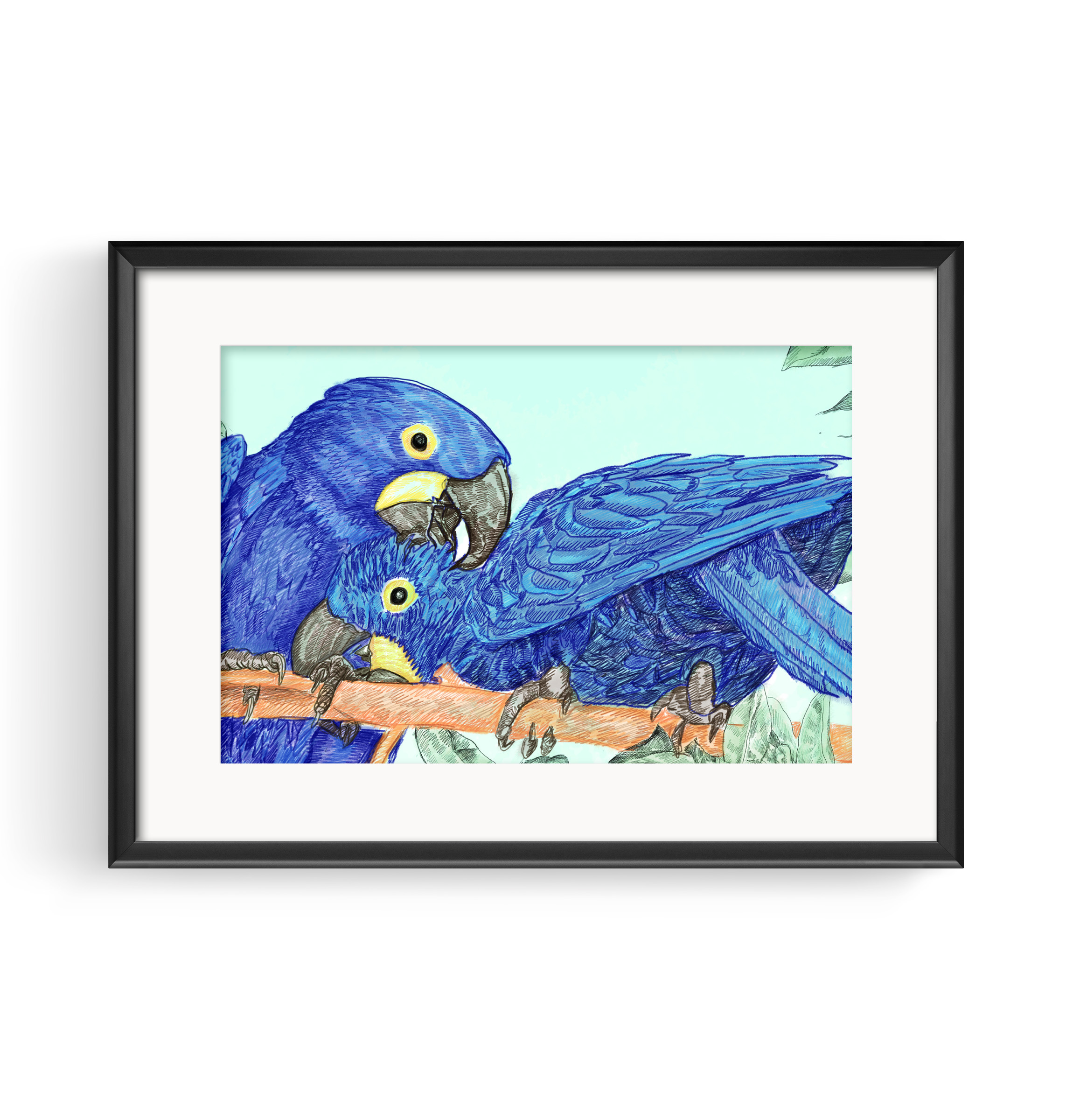 Hyacinth Macaw — artwork 14